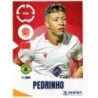 Buy Sticker Soccer Pedrinh Wydad AC Panini Fifa Club World Cup 2025