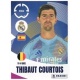 Thibaut Courtois Real Madrid 480