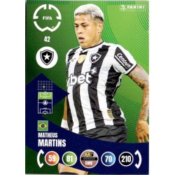 Matheus Martins Botafogo 42