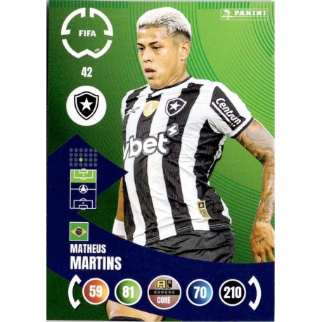 Matheus Martins Botafogo 42