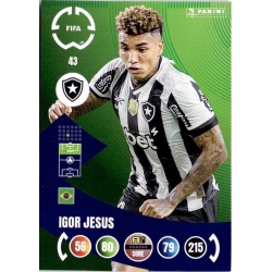 Igor Jesus Botafogo 43