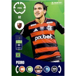 Pedro Flamengo 52