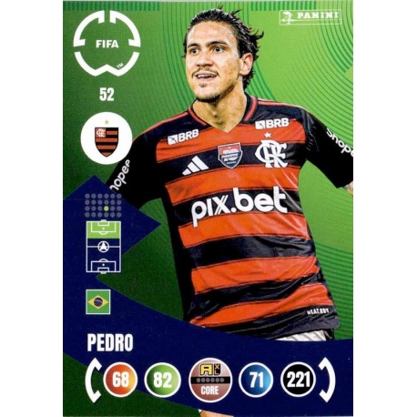 Pedro Flamengo 52