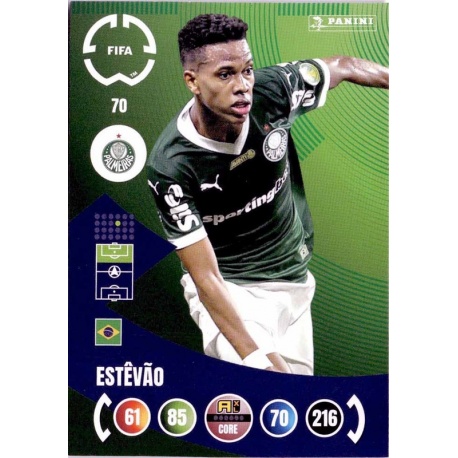 Estêvão Palmeiras 70