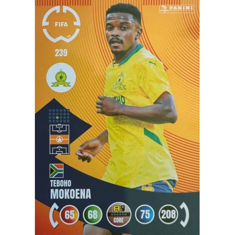 Teboho Mokoena Mamelodi Sundowns 239
