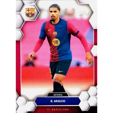 Araujo Base 5