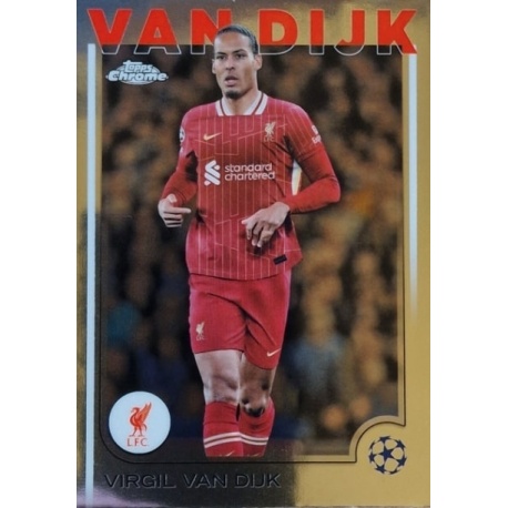 Virgil van Dijk Liverpool 44