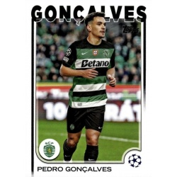 Pedro Gonçalves Sporting Clube de Portugal 134