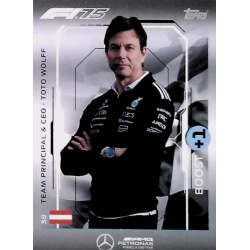 Toto Wolff Mercedes 39