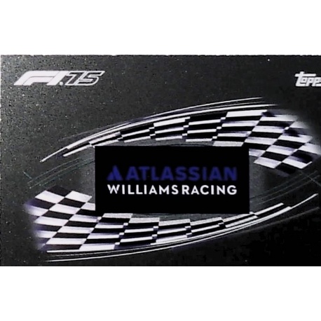 Logo Williams 82