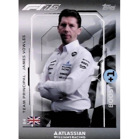 James Vowles Williams 84