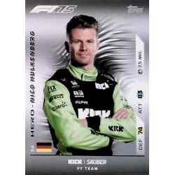 Nico Hülkenberg Sauber 94