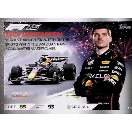 Max Verstappen - Brasil Epic Moments 112