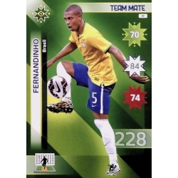 Fernandinho Brasil 37