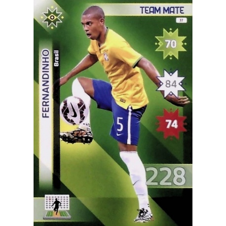 Fernandinho Brasil 37