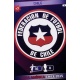 Team Logo Chile 46
