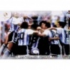 Shop Soccer Cards Copa América 1979 Celebration Panini Copa America Centenario USA 2016 Adrenalyn XL