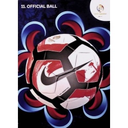 Official Ball Copa América 11