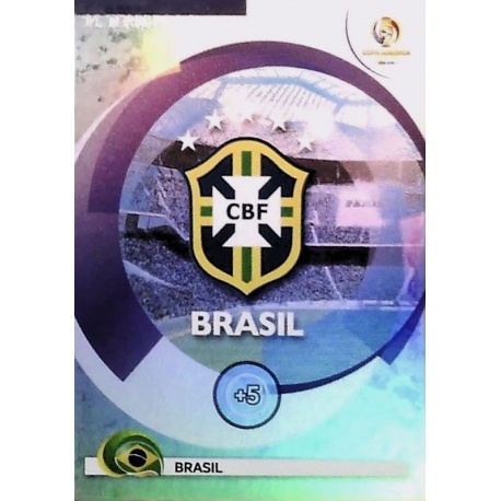 Brasil Team Logo 14