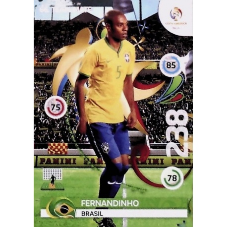 Fernandinho Brasil 66