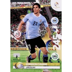 Edinson Cavani Uruguay 207