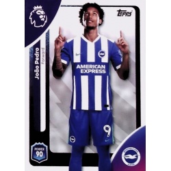 João Pedro Brighton & Hove Albion 87