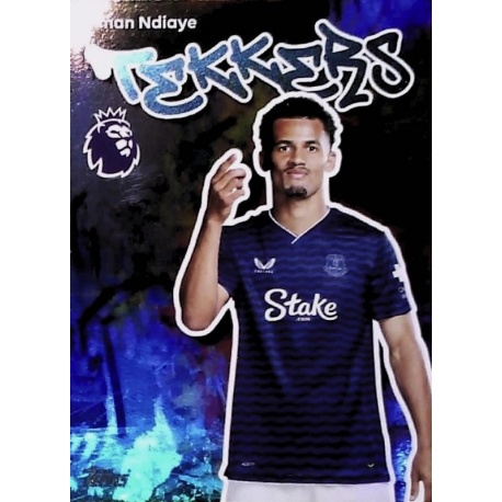 Iliman Ndiaye Tekker Everton 144