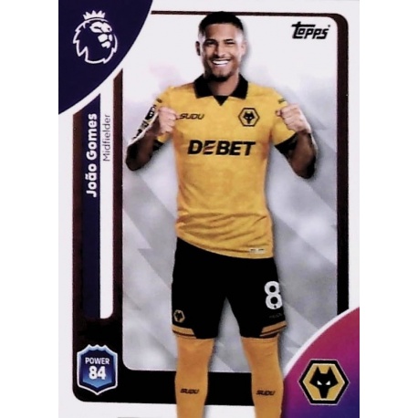 João Gomes Wolverhampton Wanderers 298