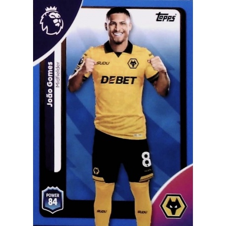 João Gomes Blue Wolverhampton Wanderers 298