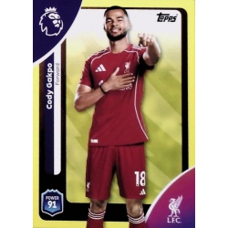 Cody Gakpo Yellow Liverpool 175