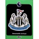 Team Badge Green Newcastle United 217