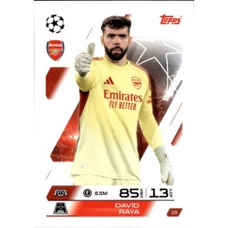 David Raya Arsenal 29