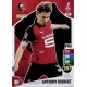 Anthony Rouault Stade Rennais FC 277