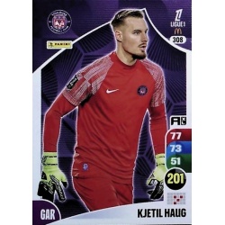 Kjetil Haug Toulouse FC 308