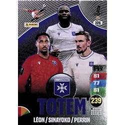 Totem AJ Auxerre 326