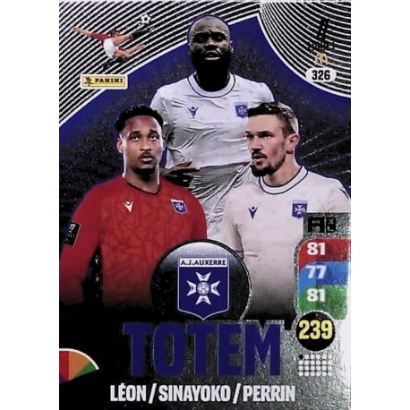 Totem AJ Auxerre 326