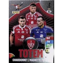 Totem Stade Brestois 29 327