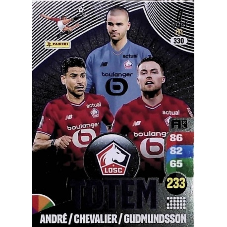 Totem LOSC Lille 330