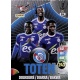 Totem RC Strasbourg Alsace 341