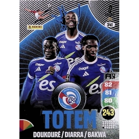 Totem RC Strasbourg Alsace 341