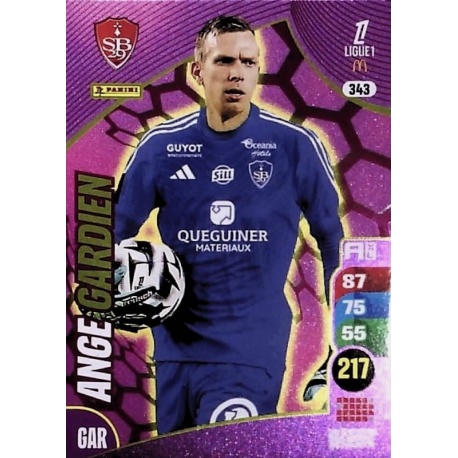 Marco Bizot Ange Gardien Stade Brestois 29 343