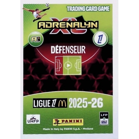 Niakhaté - Ćaleta-Car Air Force Olympique Lyonnais 372