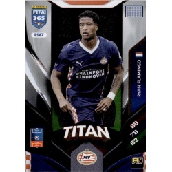 Ryan Flamingo Titan PSV Eindhoven PSV7