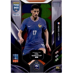 Mike Maignan Road to FIFA World Cup 26 France FWC19