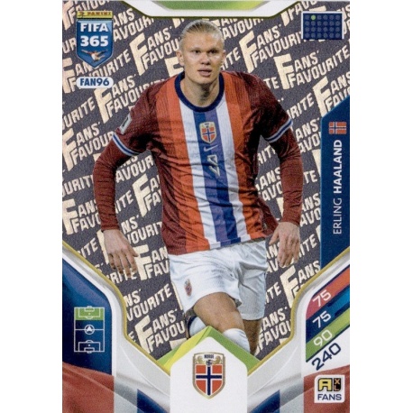 Erling Haaland Fan Favourite Noruega FAN96