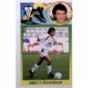 Sale Online Catali Baja Albacete 1993-94 Spanish League stickers