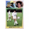 Offer Online Sánchez Baja Valencia old Spanish football stickers