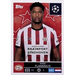 Ryan Flamingo PSV Eindhoven 371
