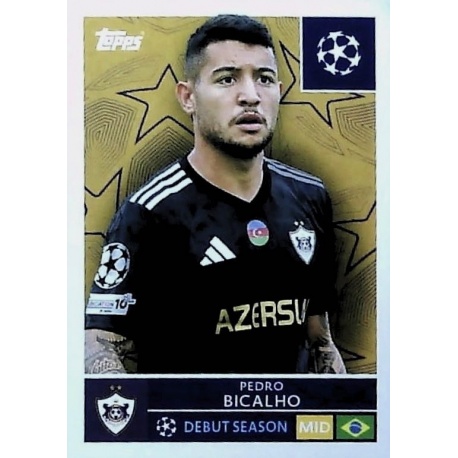 Pedro Bicalho Qarabağ FK 546