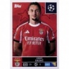 Comprar Online Amar Dedic SL Benfica Cromos Champions 2025-26
